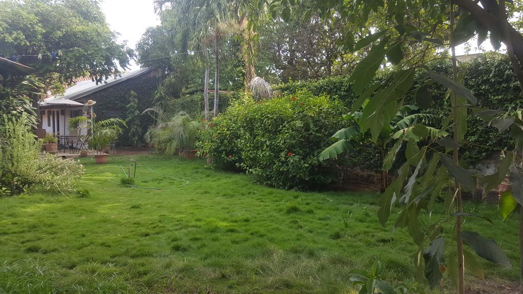 Hostal El Jardin León Εξωτερικό φωτογραφία