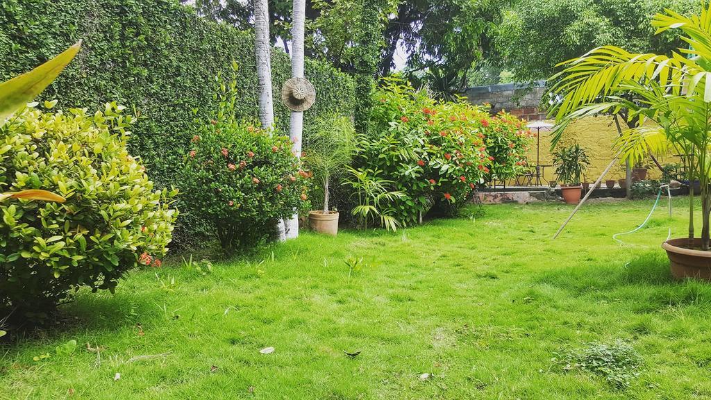Hostal El Jardin León Εξωτερικό φωτογραφία