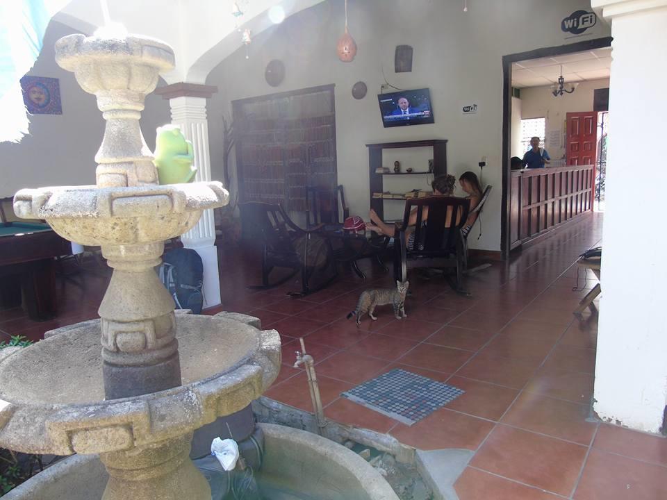 Hostal El Jardin León Εξωτερικό φωτογραφία